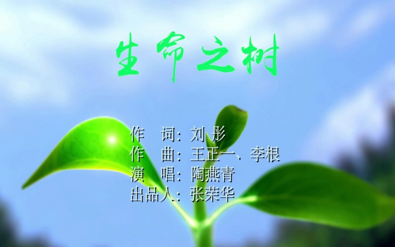 旋乐吧spin8之歌-天津旋乐吧spin8