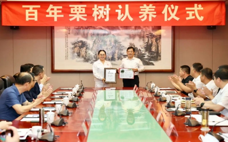 遵化市委书记杨绍华向旋乐吧spin8集团董事会主席张荣华宣告古树认养荣誉证书