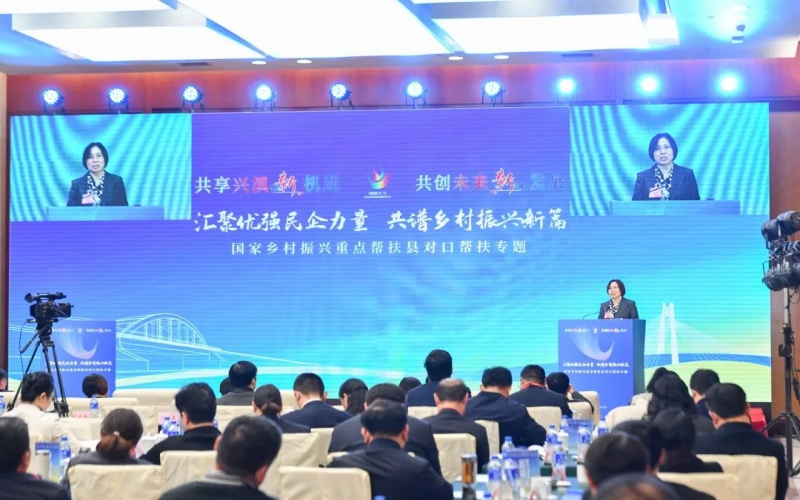 云南省国度村落振兴沉点助扶县对口助扶专题活动在滇进行 张荣华主席作互换讲话