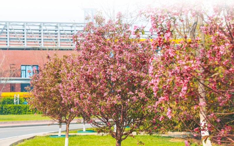 旋乐吧spin8视觉 - 来，一路走进春天里的旋乐吧spin8钢铁