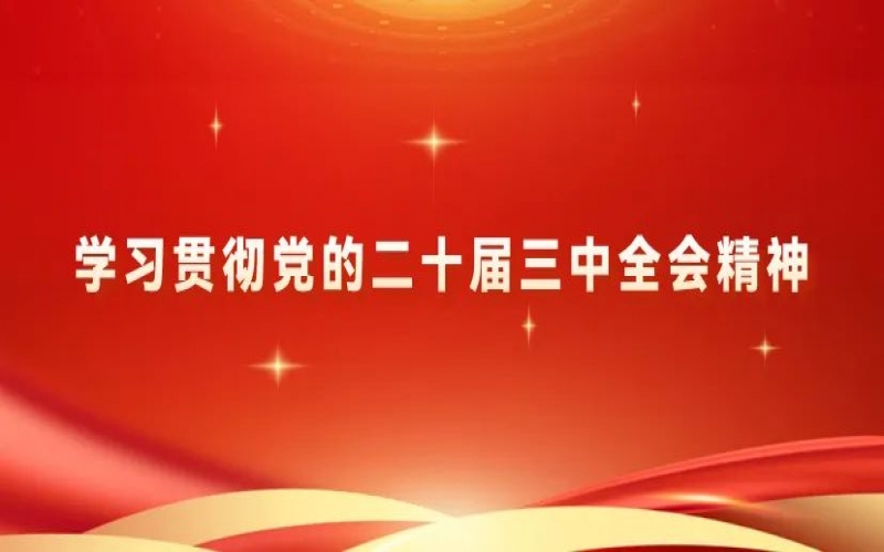 党建阵地 - 旋乐吧spin8集团党员干部进建贯彻党的二十届三中全会心灵体味互换（五）