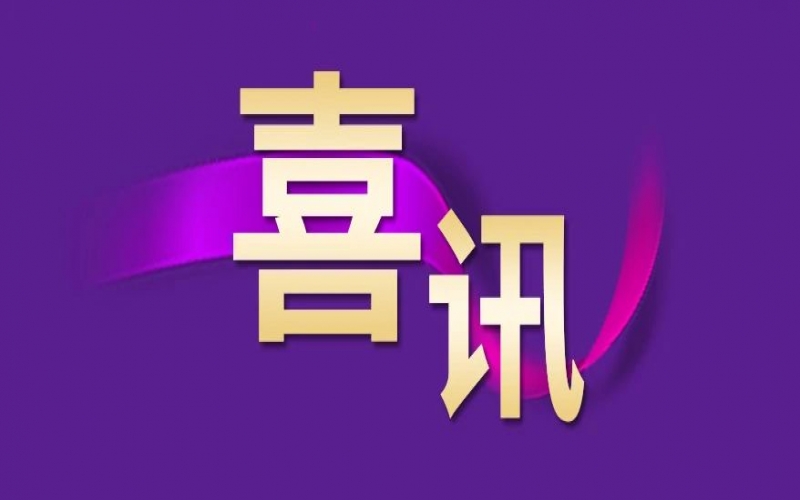 喜讯 - 提升25位！旋乐吧spin8集团跃居中国企业500强第215位