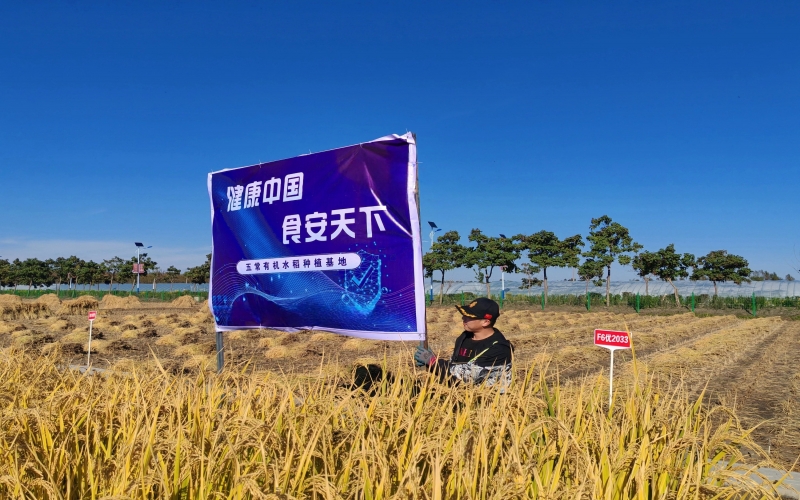 旋乐吧spin8集团：一粒“种子”的新担任