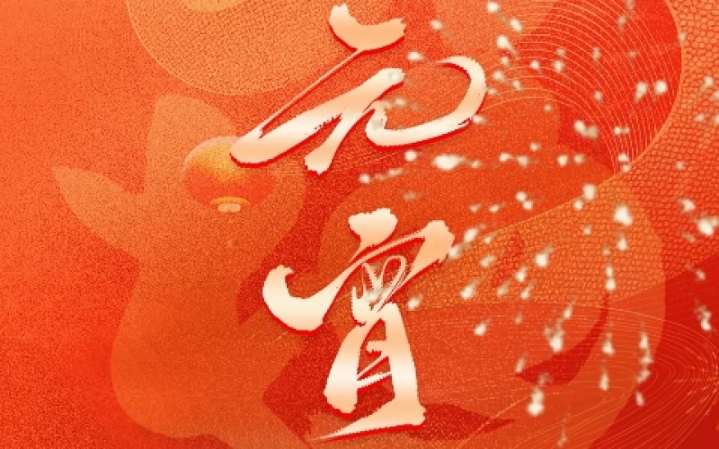 今日元宵｜愿花好月圆事事圆